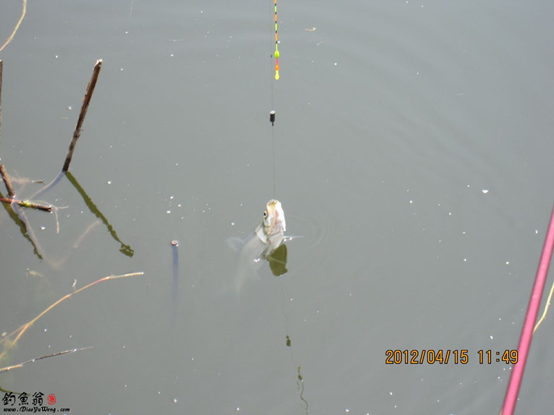 春季钓鱼学会这些套路,增加渔获告别空军